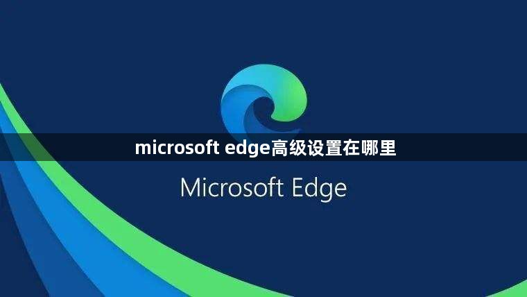 microsoft edge高级设置在哪里1