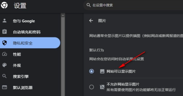 chrome浏览器标准版6