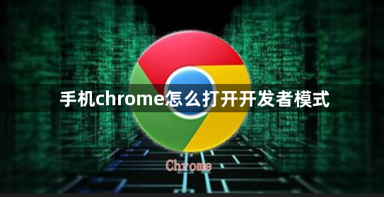 手机chrome怎么打开开发者模式1