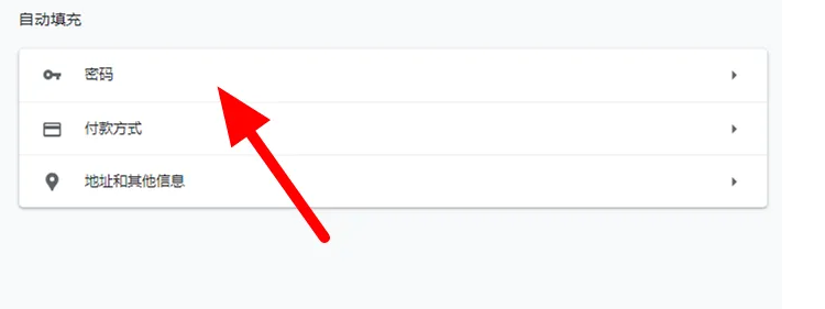 谷歌浏览器怎么保存密码5