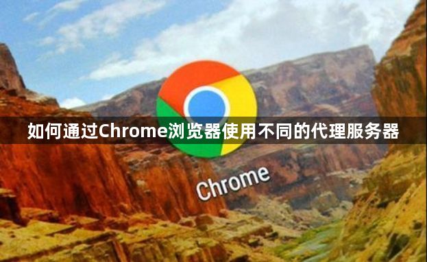 如何通过Chrome浏览器使用不同的代理服务器1