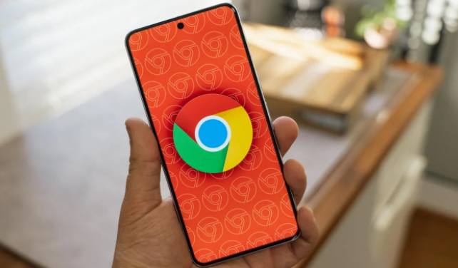 如何通过Google Chrome减少网页加载中的冗余资源1