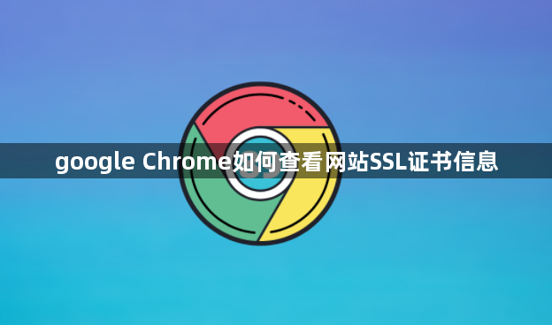 google Chrome如何查看网站SSL证书信息1