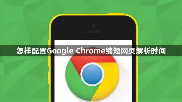 怎样配置Google Chrome缩短网页解析时间1