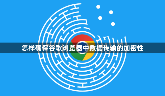 怎样确保谷歌浏览器中数据传输的加密性1