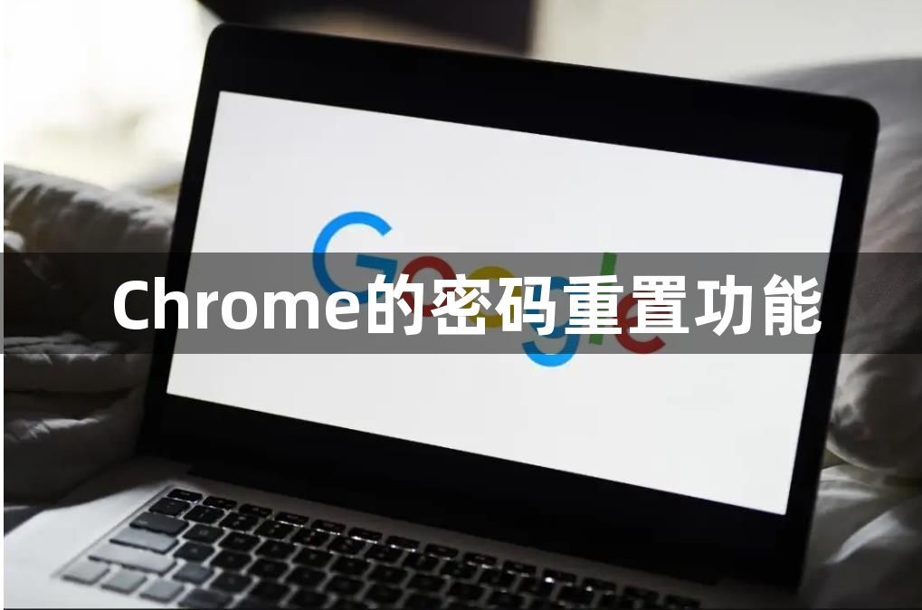 Chrome的密码重置功能1
