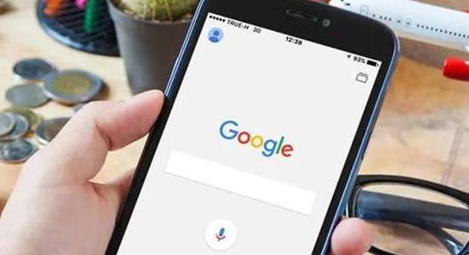 Chrome浏览器最新安装包下载入口1