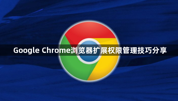 Google Chrome浏览器扩展权限管理技巧分享1