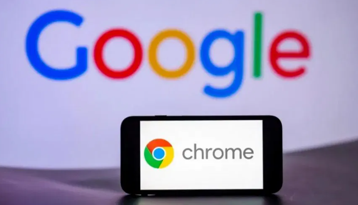 Google Chrome浏览器下载及扩展程序安装技巧1