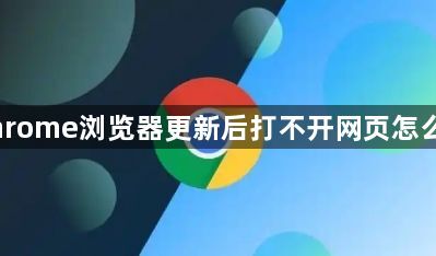 Chrome浏览器更新后打不开网页怎么办1