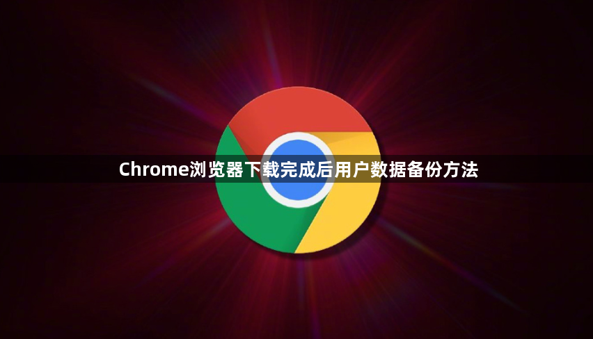Chrome浏览器下载完成后用户数据备份方法1