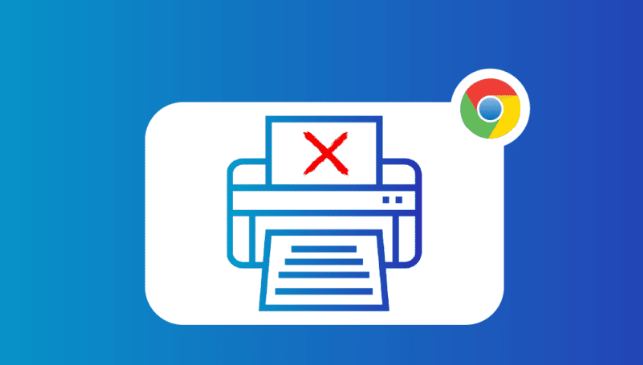 Google Chrome浏览器支持哪些多媒体插件1