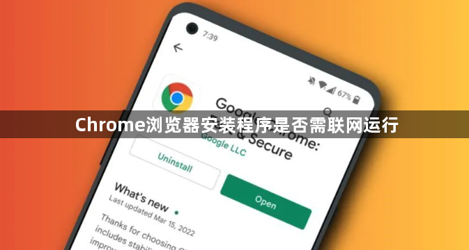 Chrome浏览器安装程序是否需联网运行1
