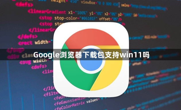 Google浏览器下载包支持win11吗1