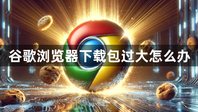 谷歌浏览器下载包过大怎么办1