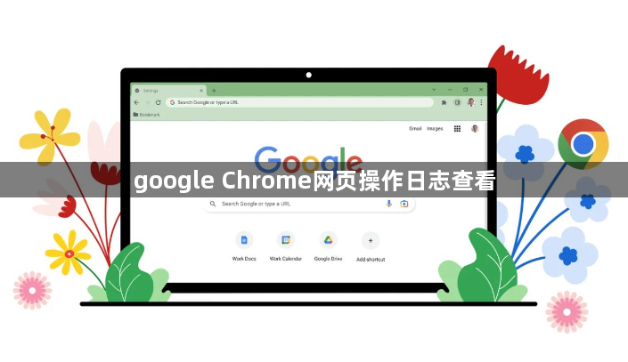 google Chrome网页操作日志查看1
