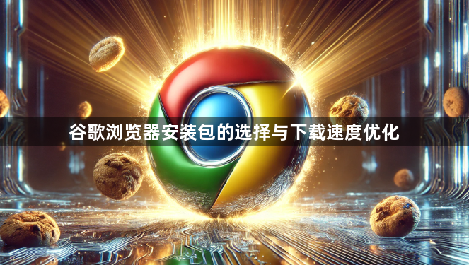 谷歌浏览器安装包的选择与下载速度优化1