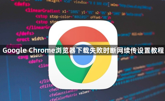 Google Chrome浏览器下载失败时断网续传设置教程1