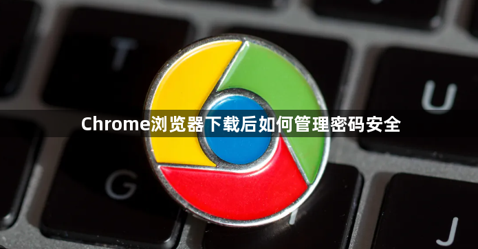 Chrome浏览器下载后如何管理密码安全1