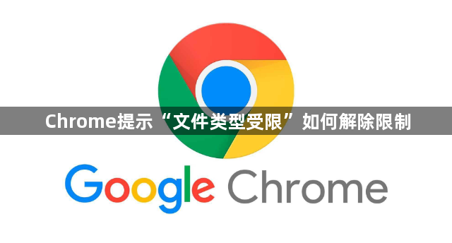 Chrome提示“文件类型受限”如何解除限制1