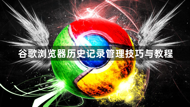 谷歌浏览器历史记录管理技巧与教程1