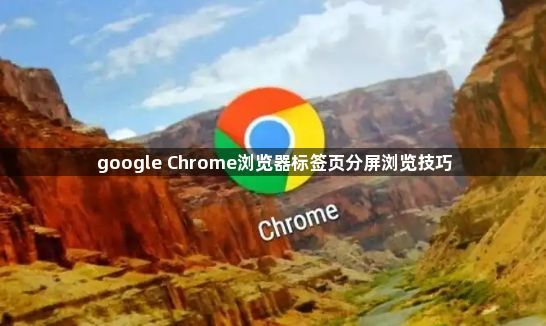 google Chrome浏览器标签页分屏浏览技巧1