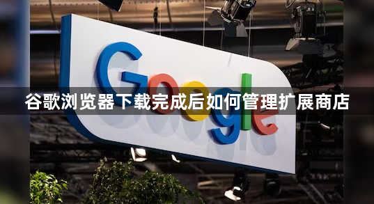 谷歌浏览器下载完成后如何管理扩展商店1