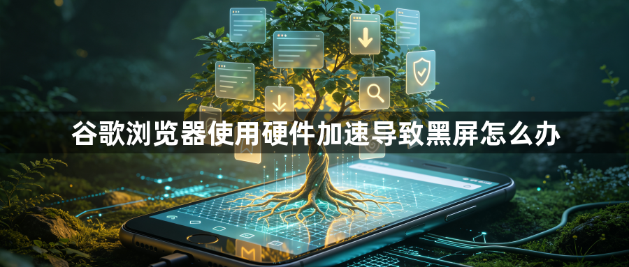 谷歌浏览器使用硬件加速导致黑屏怎么办1