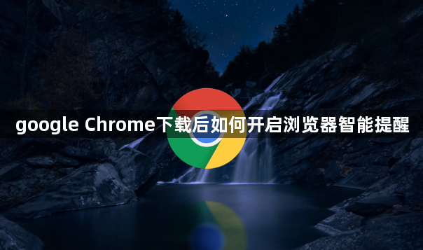 google Chrome下载后如何开启浏览器智能提醒1