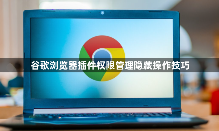 谷歌浏览器插件权限管理隐藏操作技巧1